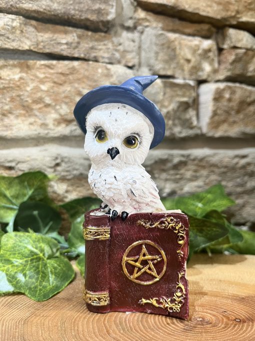 Wizard Owl On Spell Book Ornament