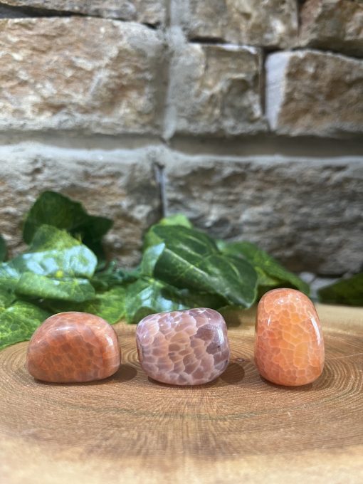 Fire Agate Crystal Tumble 2cm