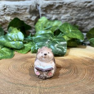 Miniature Hedgehog Reading