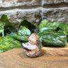 Miniature Hedgehog Reading - Image 2
