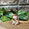 Miniature Hedgehog Toadstool Hat - Image 2