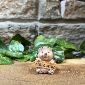 Miniature Hedgehog Welcome