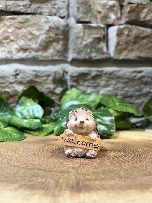 Miniature Hedgehog Welcome