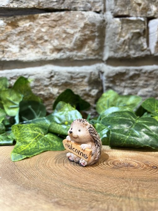 Miniature Hedgehog Welcome - Image 2