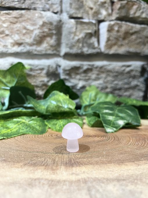 Miniature Mushroom Crystal Rose Quartz 2cm