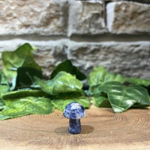 Mini Mushroom Crystal Sodalite