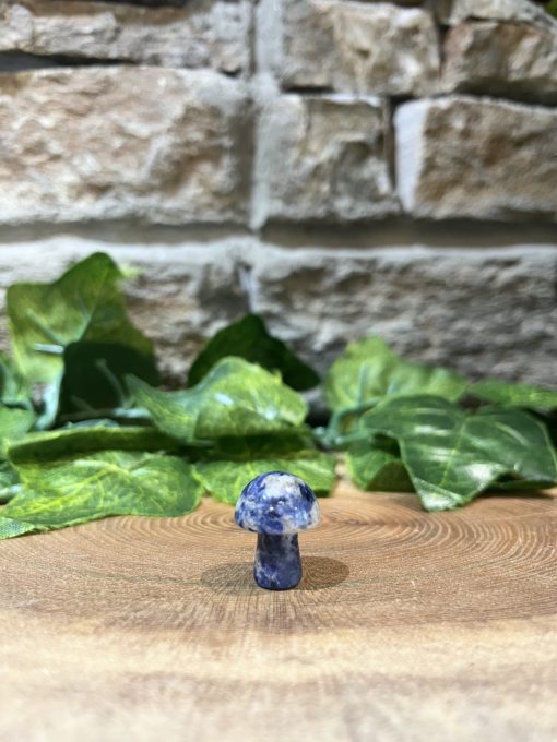 Mini Mushroom Crystal Sodalite