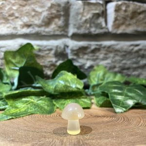 Carnelian Mini Mushroom Crystal
