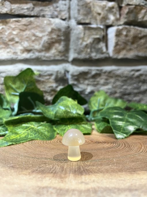Carnelian Mini Mushroom Crystal