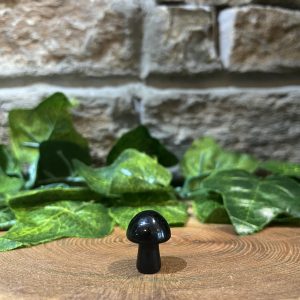 Mini Mushroom Crystal Obsidian