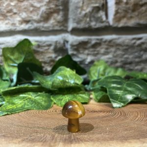 Mini Mushroom Crystal Tiger Eye