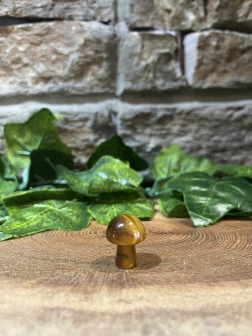 Mini Mushroom Crystal Tiger Eye