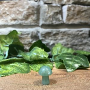 Mini Mushroom Crystal Aventurine