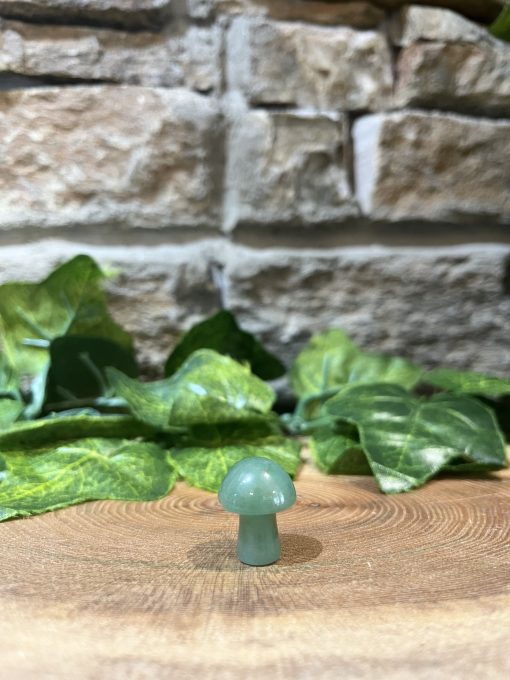 Mini Mushroom Crystal Aventurine