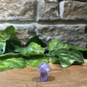Mini Mushroom Crystal Amethyst