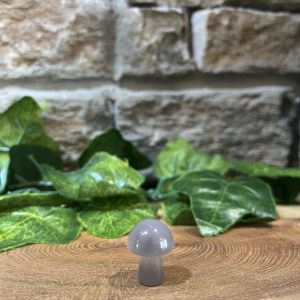 Mini Crystal Mushroom Grey Agate