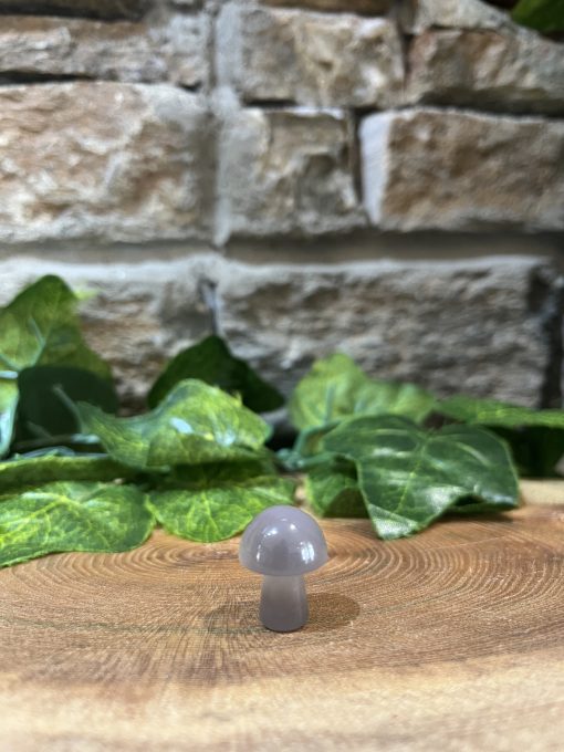 Mini Crystal Mushroom Grey Agate
