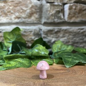 Mini Crystal Mushroom Rhodonite