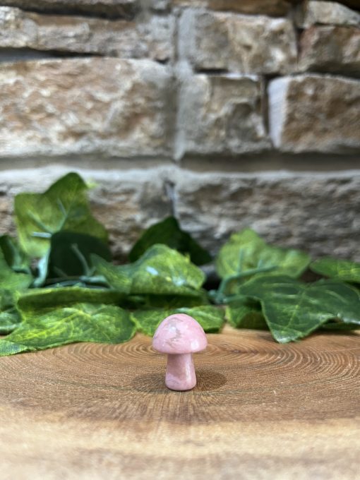 Mini Crystal Mushroom Rhodonite