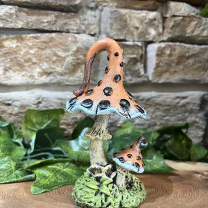 Funky Toadstool Orange And Black