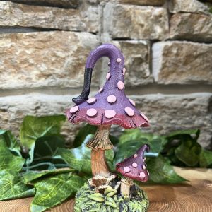 Funky Toadstool Purple And Pink