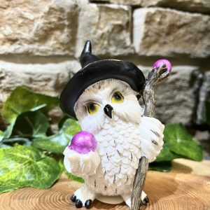 Wizard Owl Ornament Black Hat