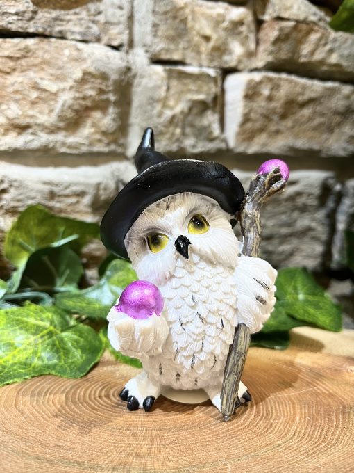 Wizard Owl Ornament Black Hat