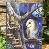 Owl Whispers Notebook