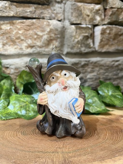 Wizard With Staff & Book Ornament