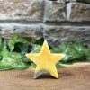 Bumblebee Jasper Crystal Star