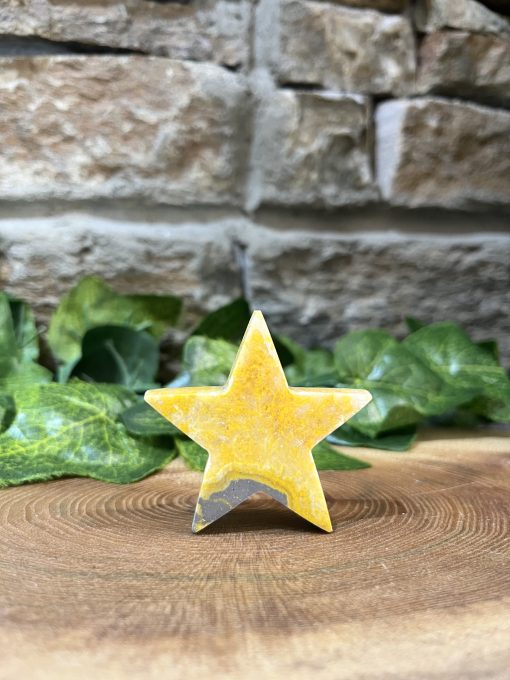 Bumblebee Jasper Crystal Star