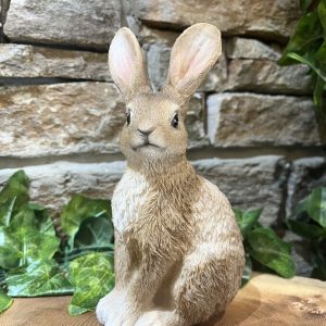 Long Eared Bunny Rabbit