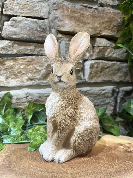 Long Eared Bunny Rabbit