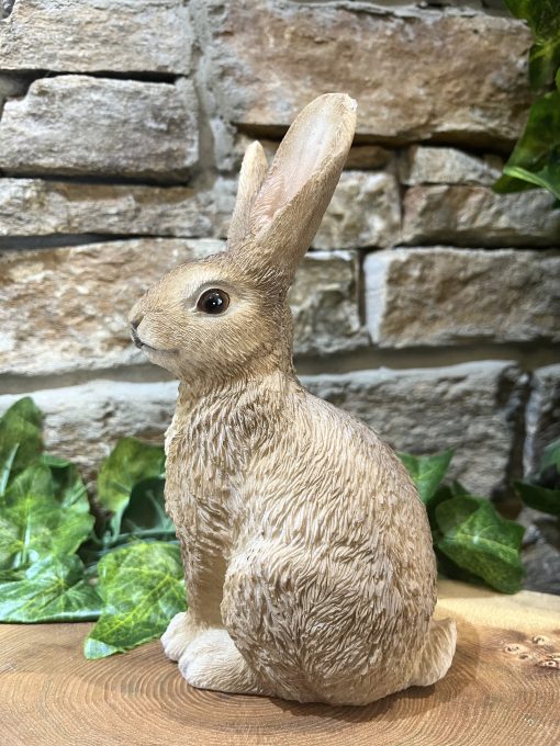 Long Eared Bunny Rabbit - Image 2