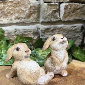 Lop Eared Bunny Rabbit Pair