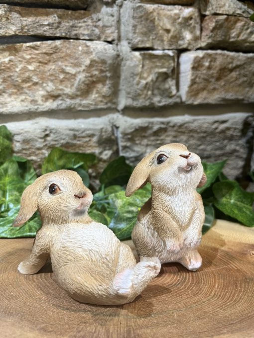 Lop Eared Bunny Rabbit Pair