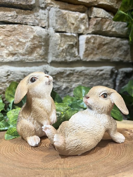 Lop Eared Bunny Rabbit Pair - Image 2