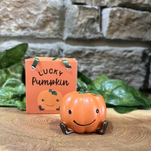 Lucky Pumpkin In Bag