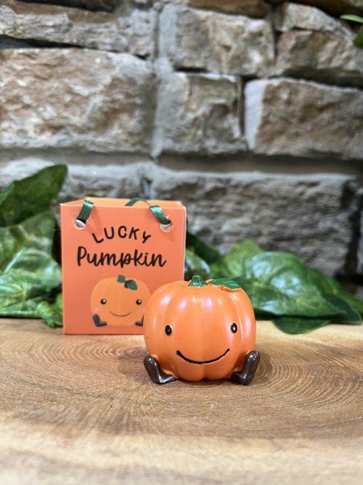 Lucky Pumpkin In Bag