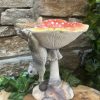 Toadstool Squirrel Bird Bath