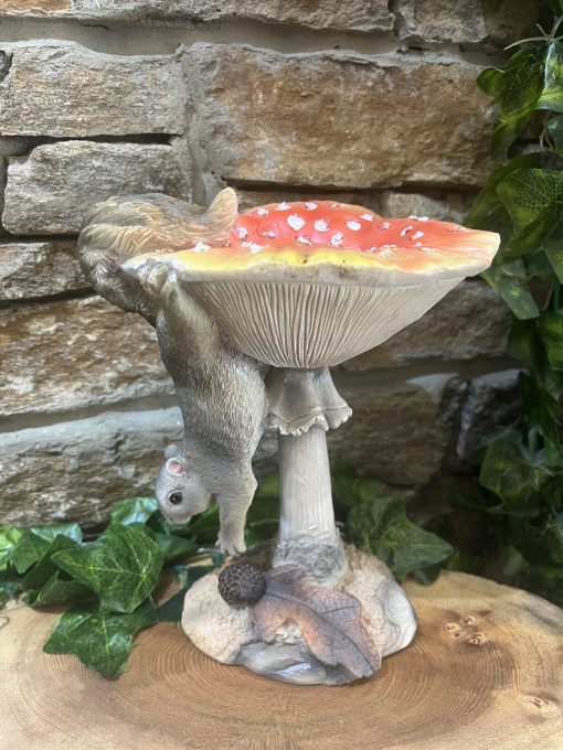 Toadstool Squirrel Bird Bath