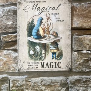 Alice Sign Magical Solution