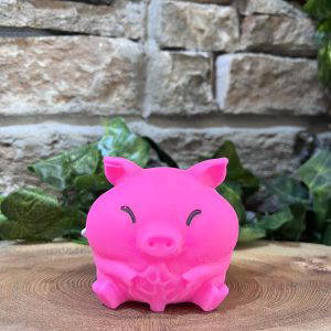 Squish Pet Piglet