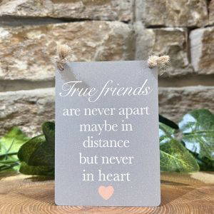 True Friends Are Never Apart Mini Metal Sign