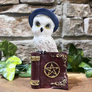 Wizard Owl On Spell Book Ornament