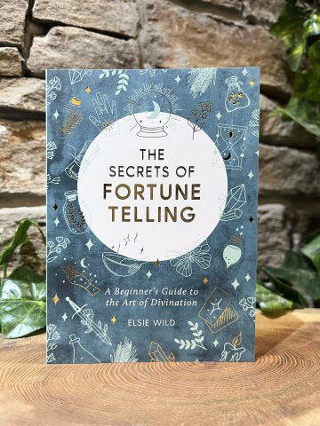 The Secrets Of Fortune Telling Book