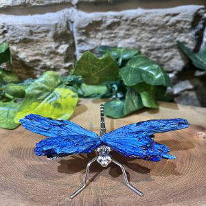 Kyanite Crystal Dragonfly