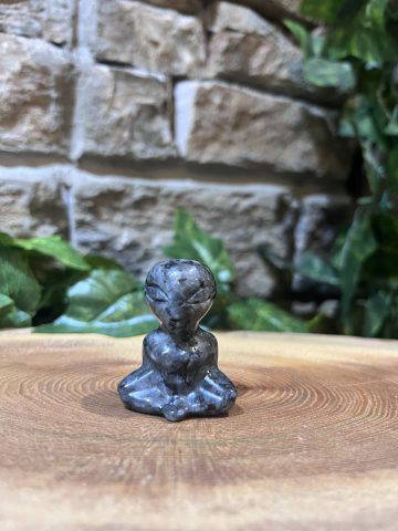 Labradorite Larvikite Crystal Alien