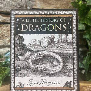 A Little History Of Dragons Book