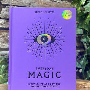 Everyday Magic Book